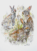 3 rabbits by Peter Biehl