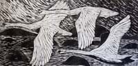 Paul Bloomer woodcut Swans over Clousta. - 60 x 183cm