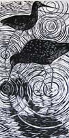 Black tailed godwits woodcut