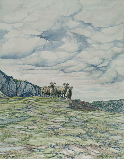 Hill Sheep by Joyce Wark