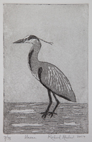 Heron etching, by Richard Rowland