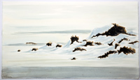 Otter in frozen voe by Howard Towll