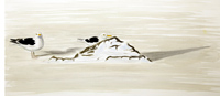 Two Black Backs on frozen loch by Howard Towll